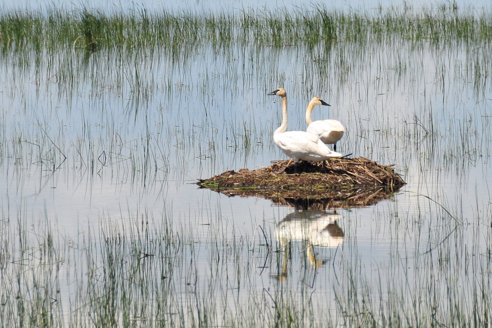 Lacreek National Wildlife Refuge